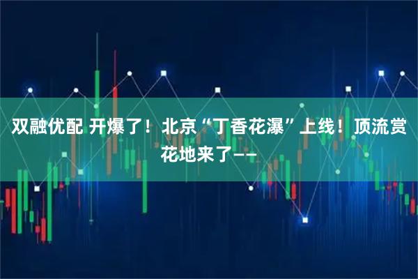 双融优配 开爆了！北京“丁香花瀑”上线！顶流赏花地来了——